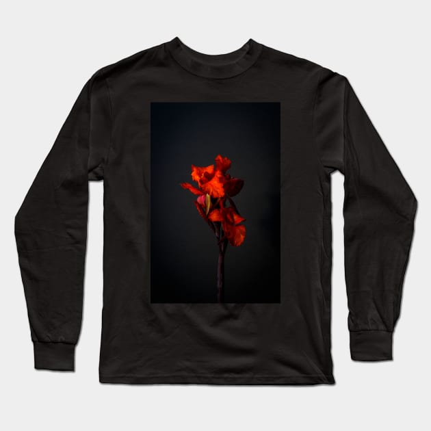 Red Canna Lilies Still Life Long Sleeve T-Shirt by blossomcophoto